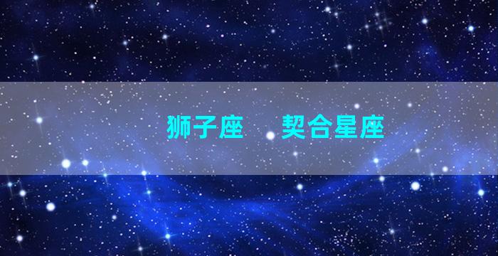 狮子座     契合星座